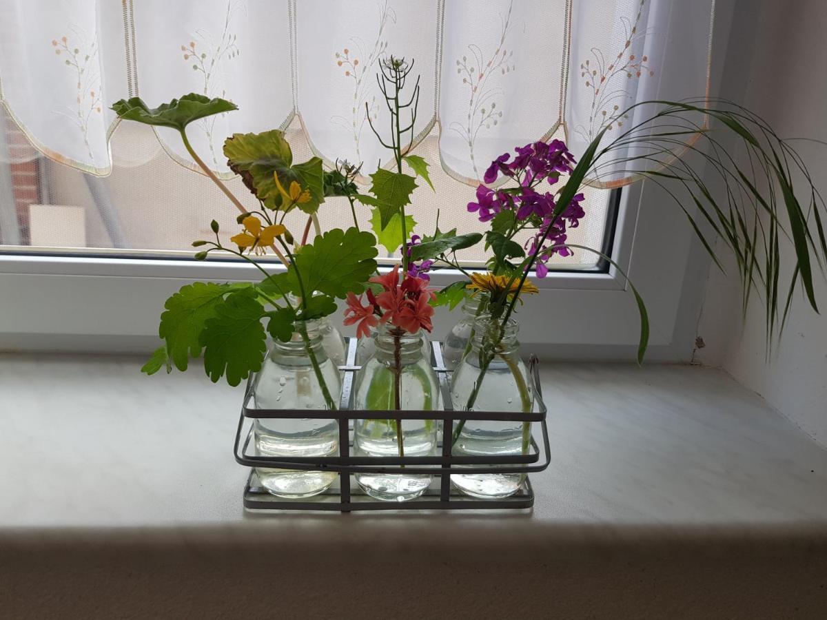 Ferienwohnung Burgenblick ターレ エクステリア 写真