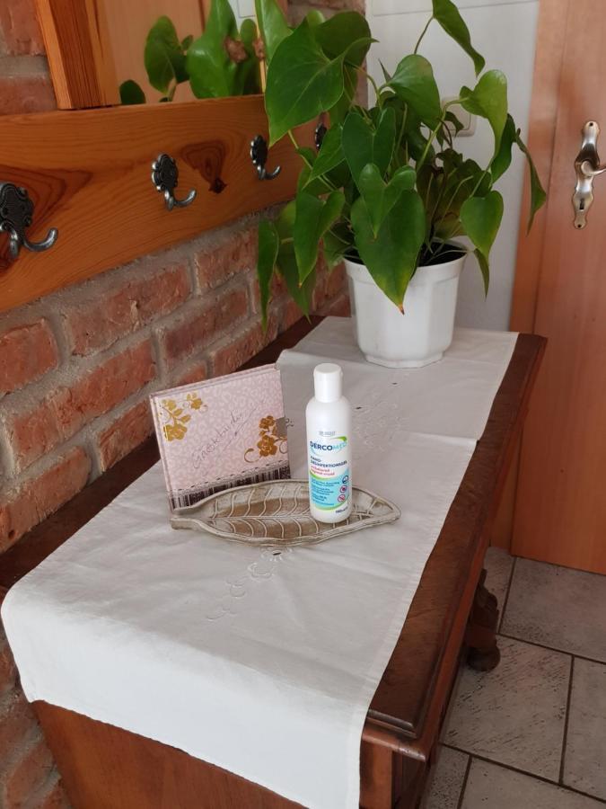 Ferienwohnung Burgenblick ターレ エクステリア 写真